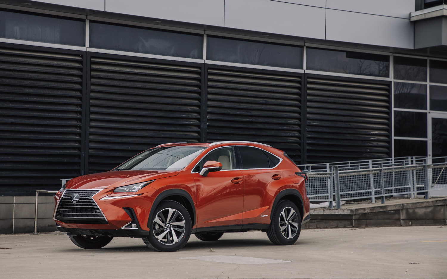 Lexus NX 300h AWD 2020 | SUV Drive